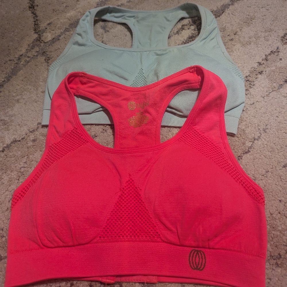 Balance Collection Pink and Green Sports Bras Moisture-Wicking Intimates